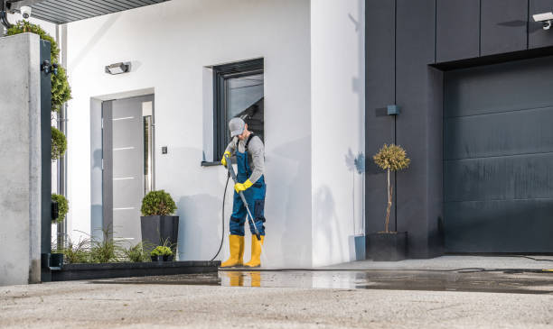 Best Residential Pressure Washing in Forest Heights, TX